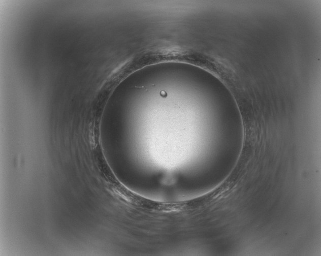 X0000065981205200603031146