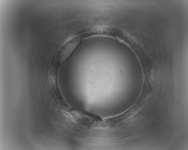 X0000065981206200603031146