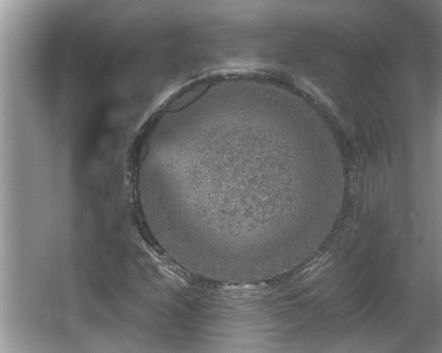 X0000065981208200603031146