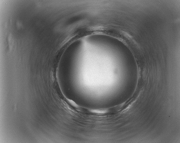 X0000065981209200603031146