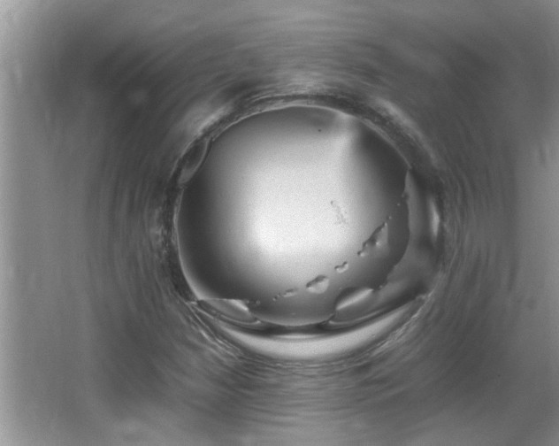 X0000065981210200603031146