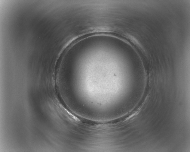 X0000065981212200603031146