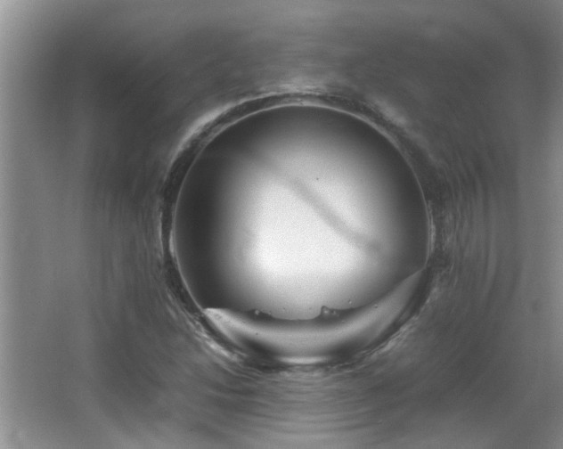 X0000065981214200603031146