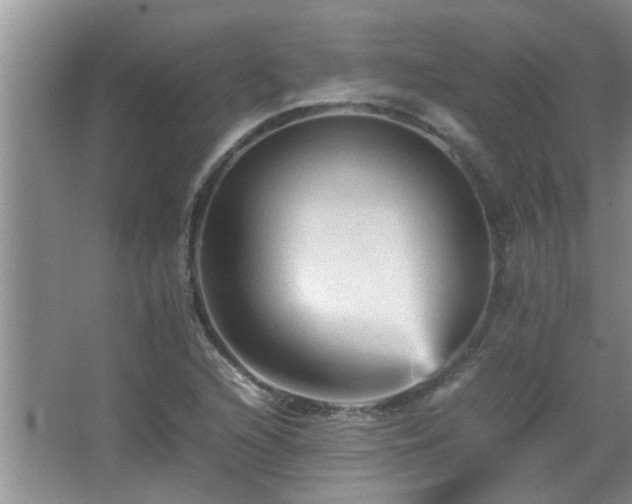 X0000065981216200603031146