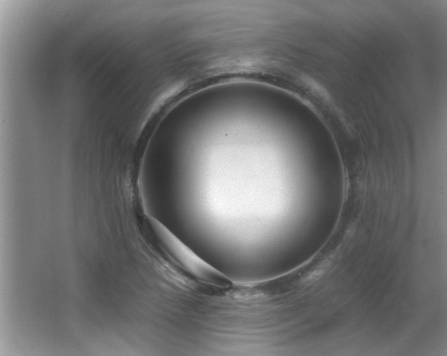 X0000065981218200603031146