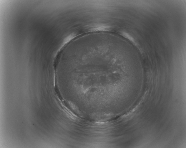 X0000065981219200603031146