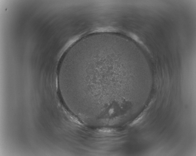 X0000065981221200603031146