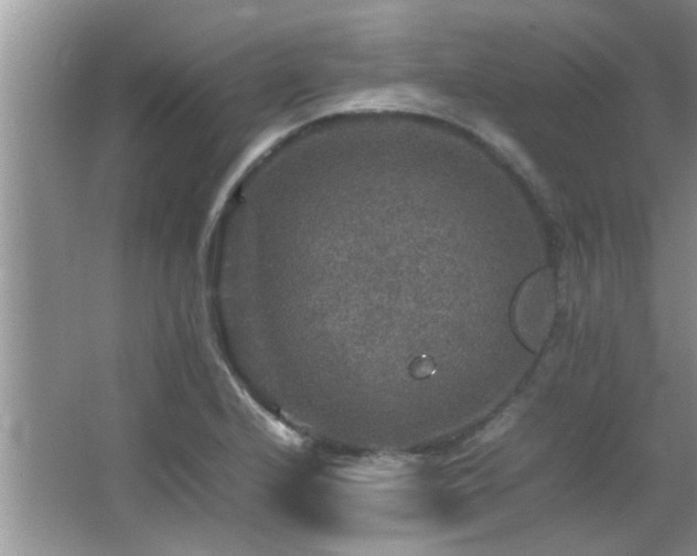 X0000065981224200603031146