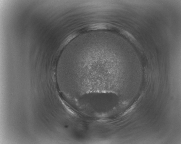 X0000065981225200603031146