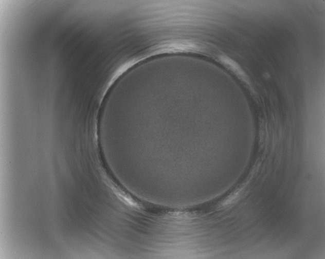 X0000065981226200603031146