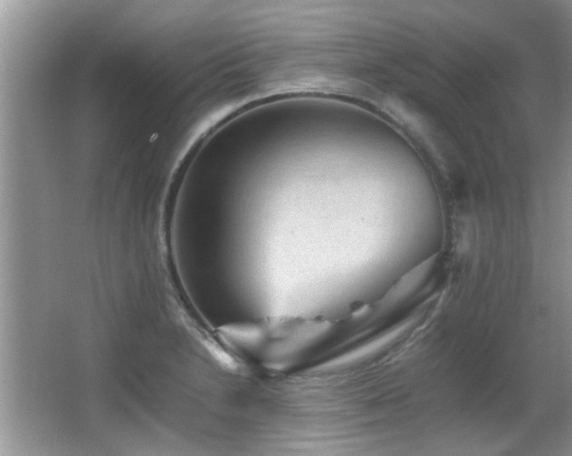 X0000065981230200603031146