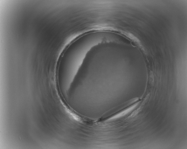 X0000065981231200603031146