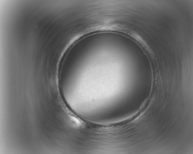 X0000065981232200603031146