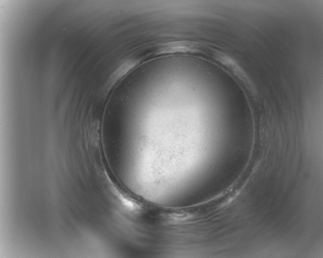 X0000065981233200603031146