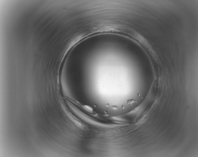 X0000065981234200603031146