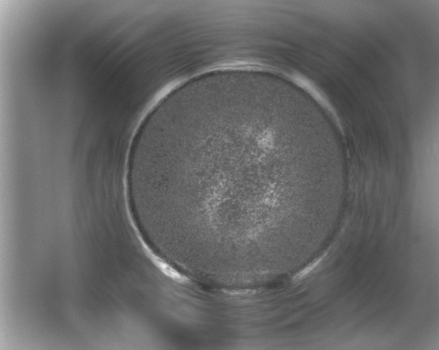 X0000065981237200603031146