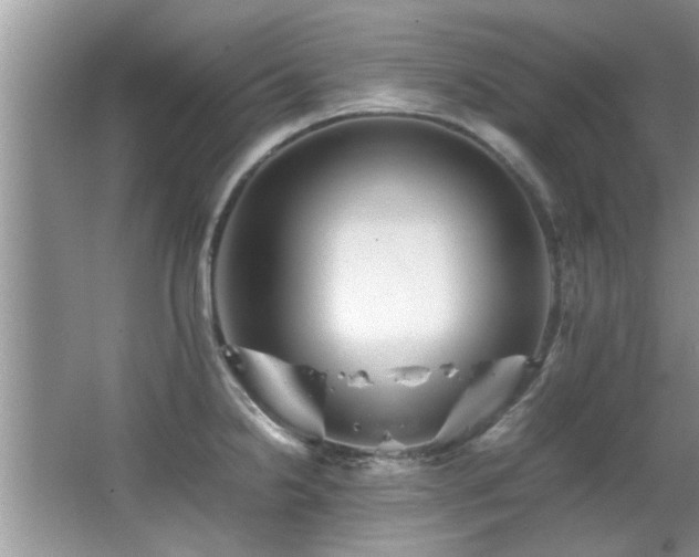 X0000065981238200603031146