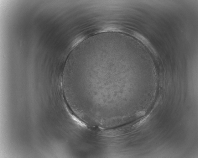 X0000065981241200603031146