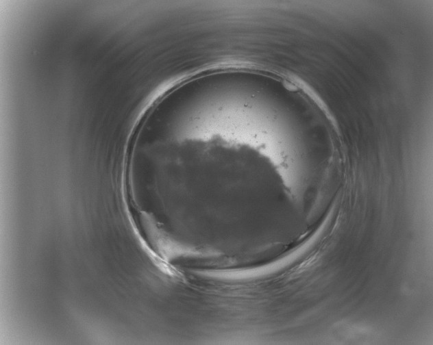 X0000065981245200603031146