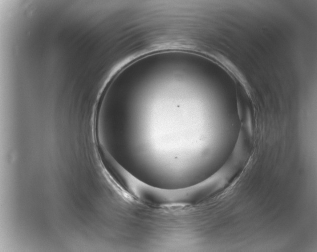 X0000065981246200603031146