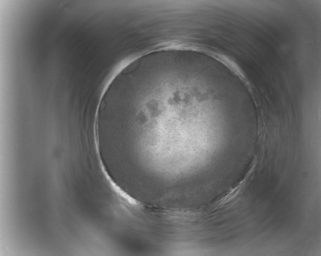 X0000065981247200603031146