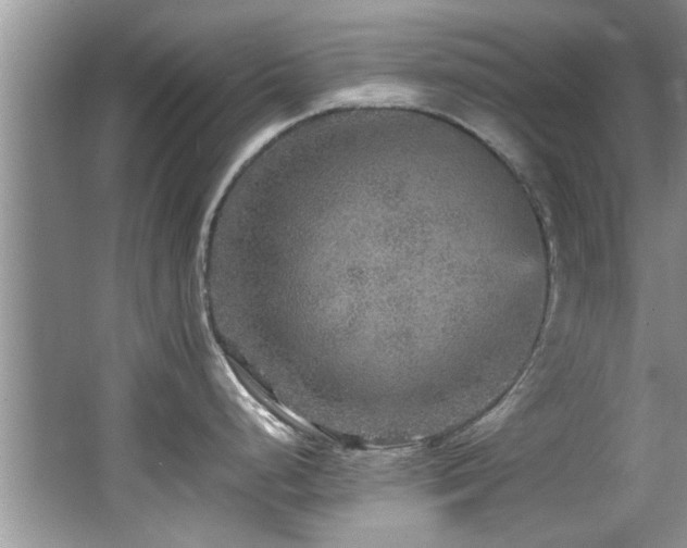 X0000065981248200603031146