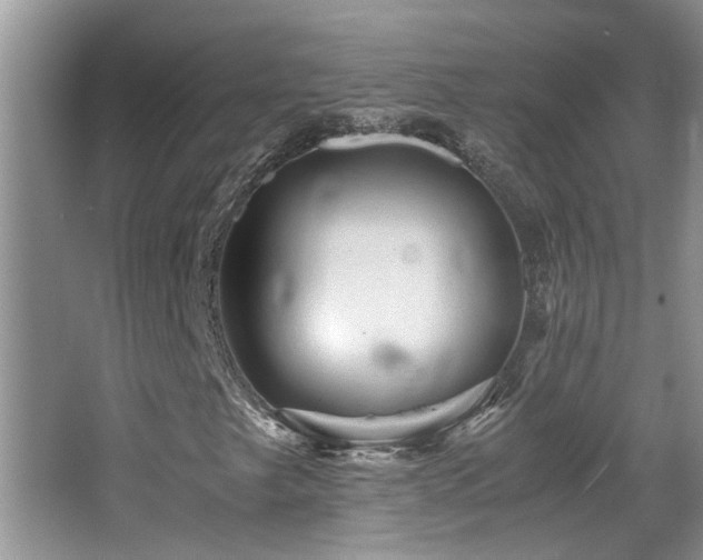 X0000065981249200603031146