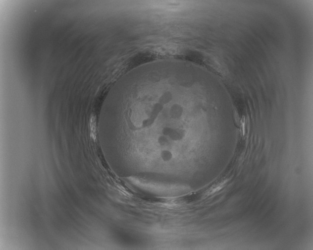 X0000065981251200603031145