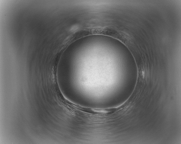 X0000065981252200603031145