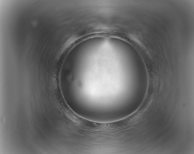 X0000065981259200603031145