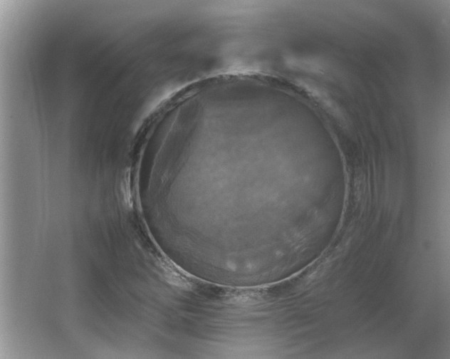 X0000065981262200603031145