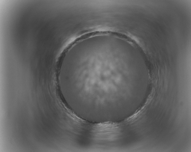 X0000065981263200603031145