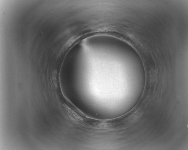 X0000065981265200603031145