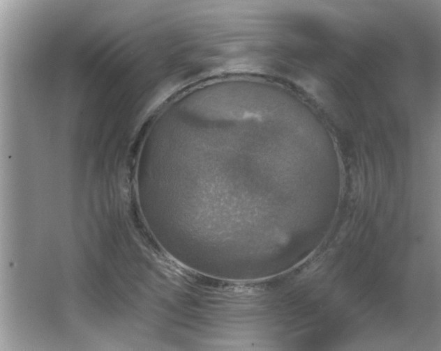 X0000065981266200603031145