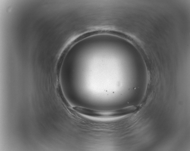 X0000065981271200603031145