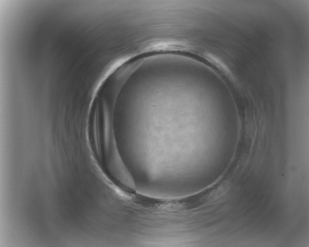 X0000065981277200603031145