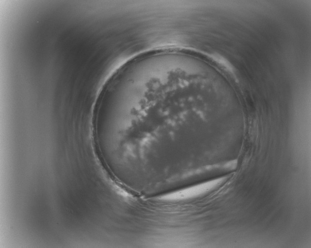 X0000065981279200603031145