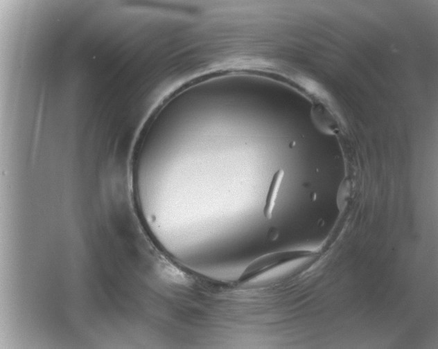 X0000065981280200603031145