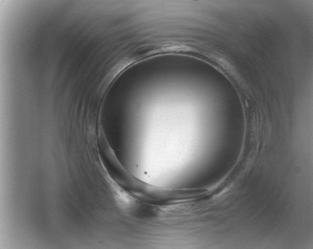 X0000065981281200603031145