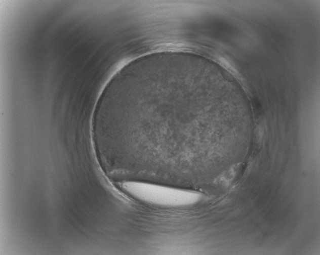 X0000065981283200603031145