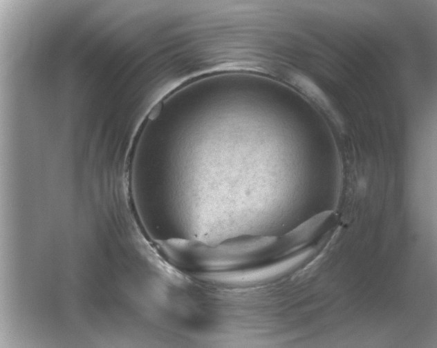 X0000065981284200603031145