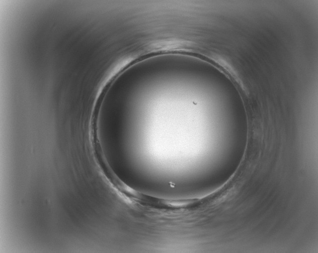 X0000065981285200603031145