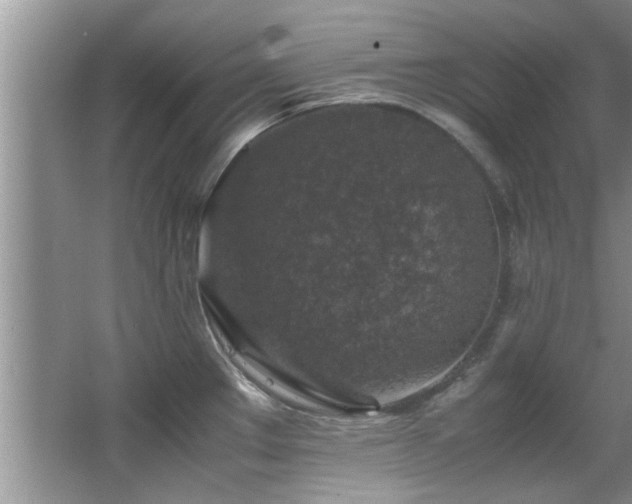 X0000065981289200603031145