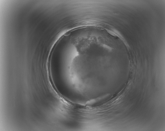 X0000065981291200603031145