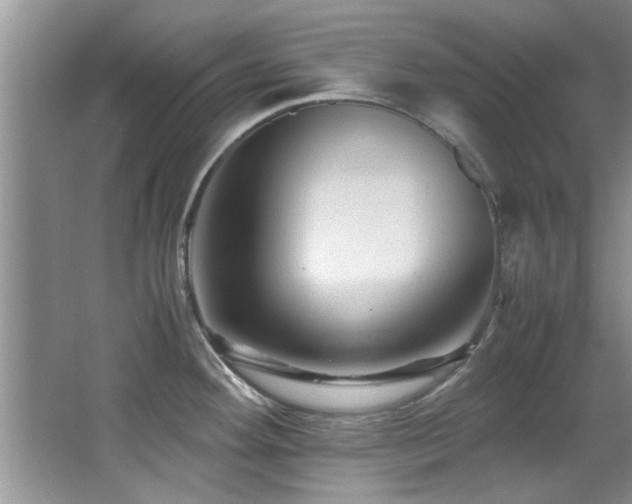 X0000065981292200603031145