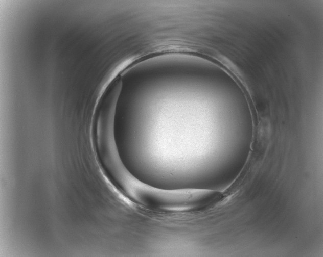 X0000065981293200603031145