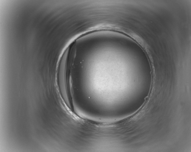 X0000065981296200603031145