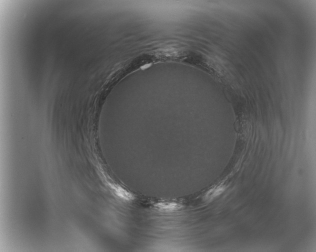 X0000065981297200603031144