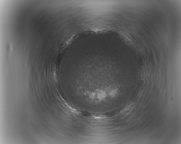 X0000065981298200603031144