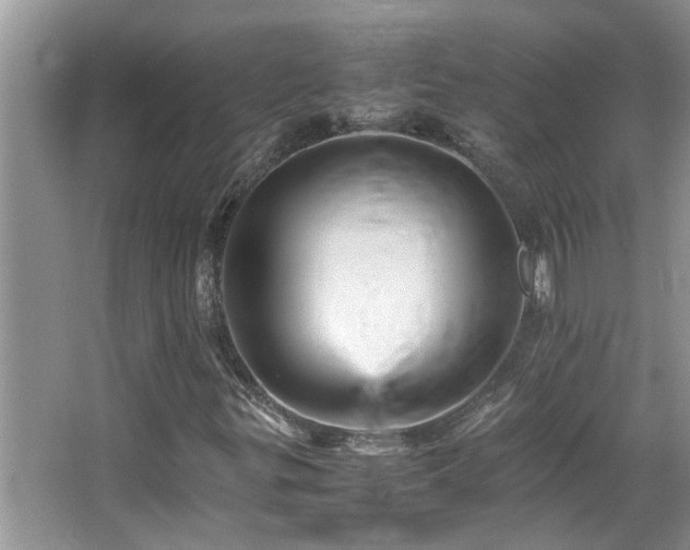 X0000065981299200603031144